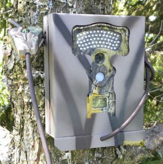 Primos Truth Cam 35 46 60 Blackout Trail Camera Security Bear Lock Box 