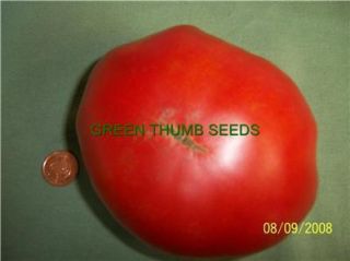 Watermelon Beefsteak Tomato Heirloom Seeds V0017