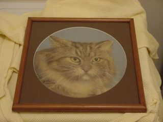TABBY CAT PASTEL CHARCOAL DRAWING   FRAMED & MATTED   LIFELIKE 