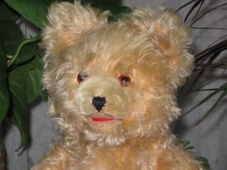 Antique Fechter Austria Bear RARE Blonde Mohair 16 Inch