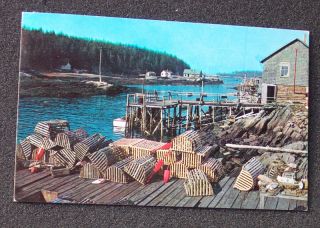 1959 Typical Fishing Village Lobster Traps Belfast Me