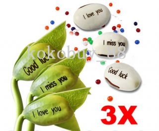 H3924 3X Color Crystal Mud Magic Bean Seed Plant Message
