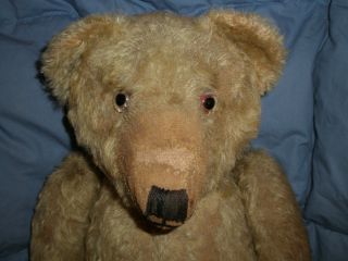 ULTRA RARE! LARGE SIZE ANTIQUE  WILLIAM J. TERRY  TEDDY BEAR SUPER OLD 