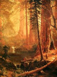 XL Framed Bierstadt Giant Redwood Repro Canvas Wall Art
