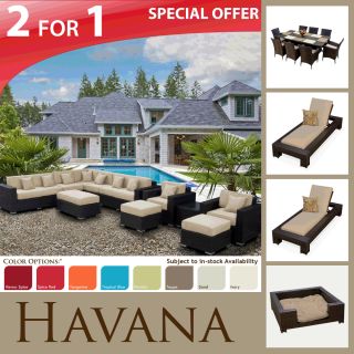 11piece Wicker Patio Outdoor Furniture 9pc Dining Set 2CHAISES Dog Bed 