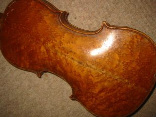 Interesting Old Birdseye Maple Violin Nikolaus Amati