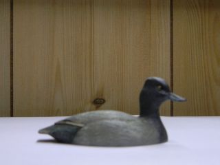 William J Koelpin Lesser Scaup Miniature Duck 1982