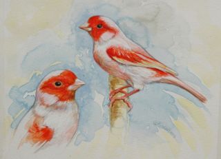 Red Mosaic Canary Bird Art Songbirds L E Print Natures Originals 