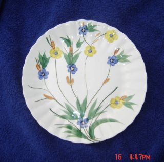 Blue Ridge Southern Pottery Chickory Dinner Plate