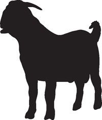 BOER Goat 5 Vinyl Sticker Decal Animal Silhouette Car