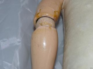   26 Kestner Bisque Doll Mold Dep 154 13 Kid Body Composite Arms