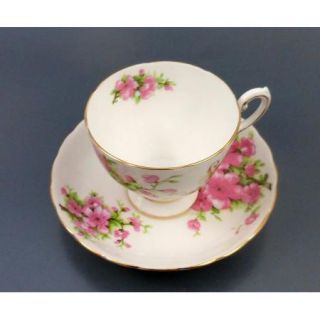 Tuscan Bone China Cup Saucer Cherry Blossoms Pink Speedy Recovery 