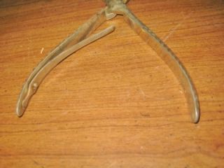 Vtg Bowles Patent George P Pilling & Son Dental Pliers Medical Tool 