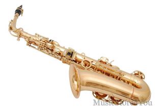   EB Alto Saxophone Sax Lazarro Tuner 12 Reeds Book Case Care Kit