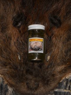 Beaver Lure  Castor Gland 1oz. bottle Traps &Trapping