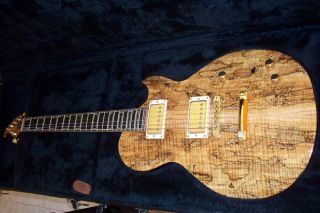 BRIAN MOORE DC 1 CUSTOM SHOP AMAZING 2001 NAMM ONE OFF SPALTED MAPLE 