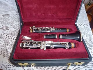 Buffet Crampon R13 Greenline Clarinet with Prof. Set Up Ready to Go
