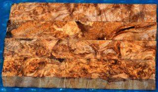 Pen Blanks Spalted Quilted Blue Golden Camphor Burls 4pc