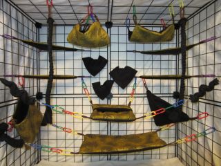 15 pc sugar glider cage set golden butterfly includes hooks banana 