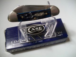 CASE XX USA 62132SS Baby Butterbean Ocean Blue Pocket Knife Limited 