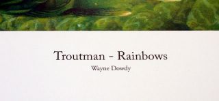 Rainbow Trout Fish Taxidermy Ducks Unlimited Dowdy 46
