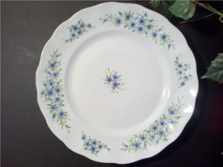 Favolina Candia China Dinner Plate Blue Flowers