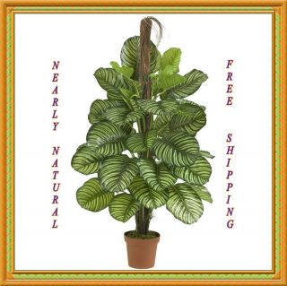 Nearly Natural 52 Calathea Silk Plant (Real Touch) Green 6588 52X30 