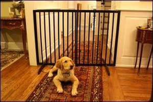 Cardinal Gates Extra Tall Freestanding Safety Pet Dog Baby Gate Black 