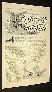 Articolo Guerra Tra Animali Aresca Ill Righetti 1916