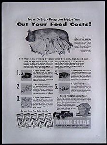 1956 Allied Mills Wayne Hog Feeds Magazine Ad