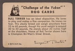 Challenge of The Yukon Dog Card 1950s Bull Terrier