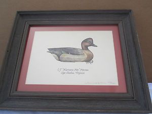 1984 Signed E J Hurricane Peterson Numbered Duck Print Mat and Framed 