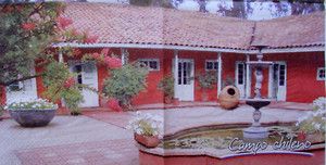  10 Napkins Made in Chile Country House Patio Casa de Campo