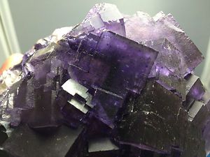 Large Purple Fluorite and Galena Cave in Rock Illinois IL