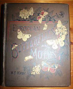 1882 European Butterflies Moths 61 Plates Lithographs 