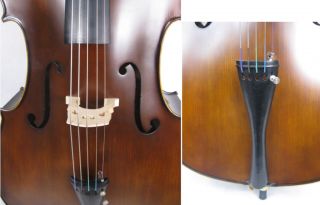 String Cello Stradivari Model Profession Level