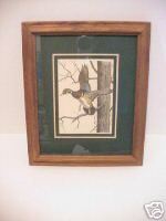 Wood Duck Picture Artist Signed by Dave Chapple 1983