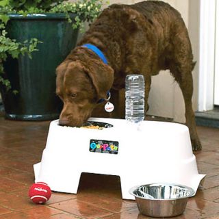 Dog Pet Diner Bowl Healthy Elevated Dog Bowl 4 Dog Food Water Bowls 