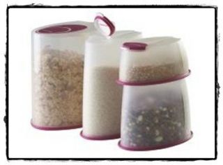   Next Generation First In First Out Cereal Dry Storage Container Small