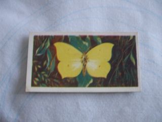 Brooke Bond Tea Cards British Butterflies 1963 Buy Individually Nos 