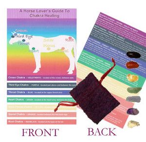 A5 Horse Chakra Healing Chart Crystals Giftset Reiki