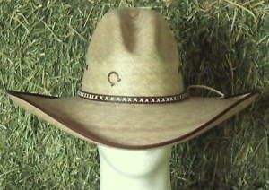 Charlie 1 Horse Bandito Gus Creased Western Hat