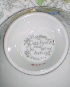 Roslyn Fine English Bone China Teacup Tea Cup Saucer HP with Roses 