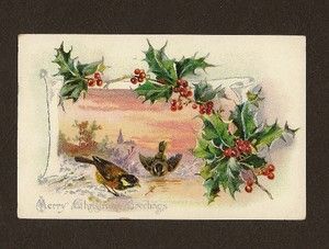   Christmas Postcard Holly Post Cards  Birds Holly Church 1907