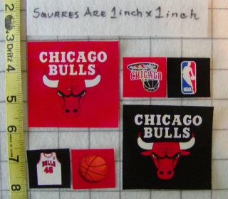 Chicago Bulls NBA Iron on Fabric Appliques No Sew
