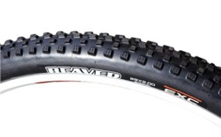 Maxxis Beaver XC 29er Tyre   Exception Series