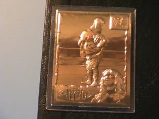 Chyna 34 22KT GOLD CARD MINT in SEALED PROTECTIVE CASE WWF WWE Danbury
