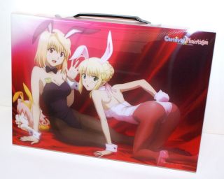 Carnival Phantasm ClearFile Case Type Moon Tsukihime Fate Stay Night