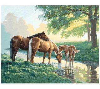 Paint by Number Kit   Horses By A Stream —