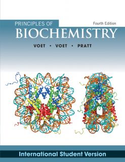 Fundamentals of Biochemistry by Voet (4th International Edition)